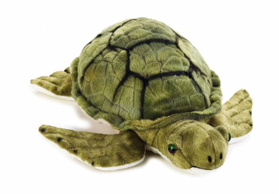 Uitstekend Onzeker Bijdragen Schildpad - National Geographic knuffel - Avila Boetiek